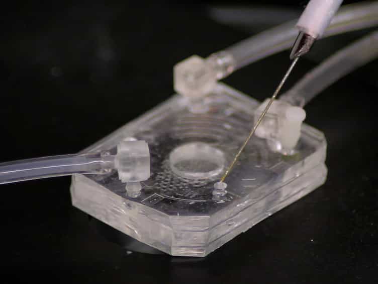 Quantitative and Temporal Control of Oxygen Microenvironment at the Single Islet Level