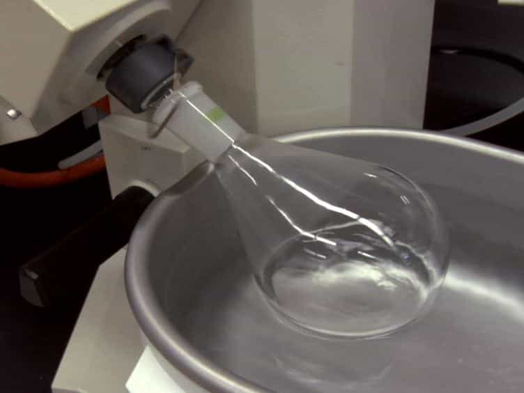 Isolation and Chemical Characterization of Lipid A from Gram-negative Bacteria