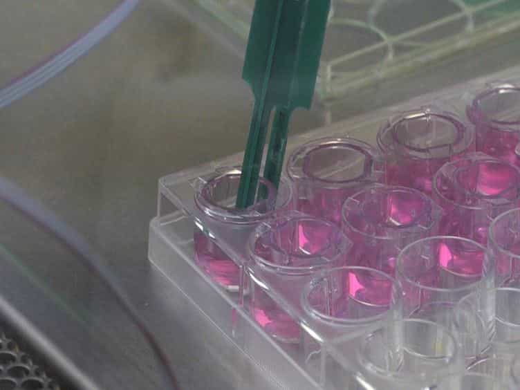 Models and Methods to Evaluate Transport of Drug Delivery Systems Across Cellular Barriers