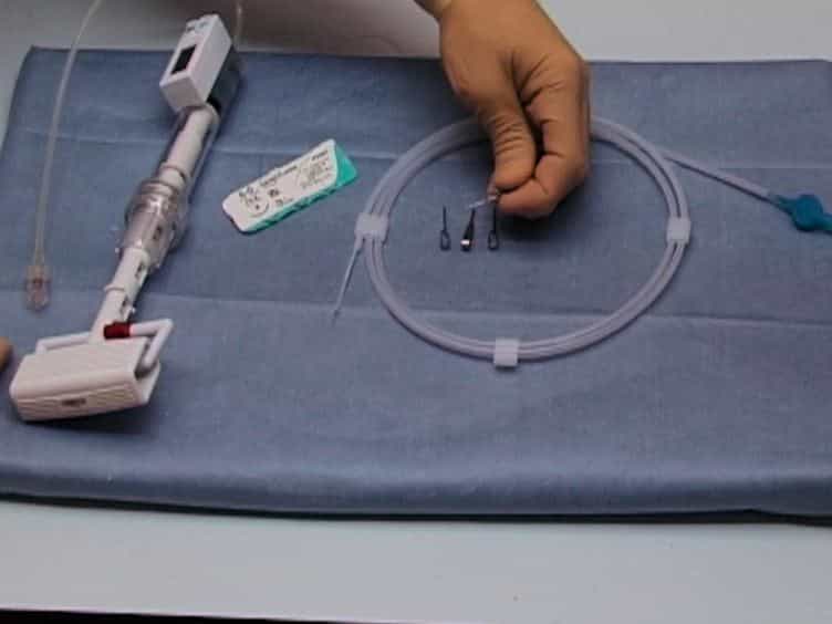 A New Murine Model of Endovascular Aortic Aneurysm Repair