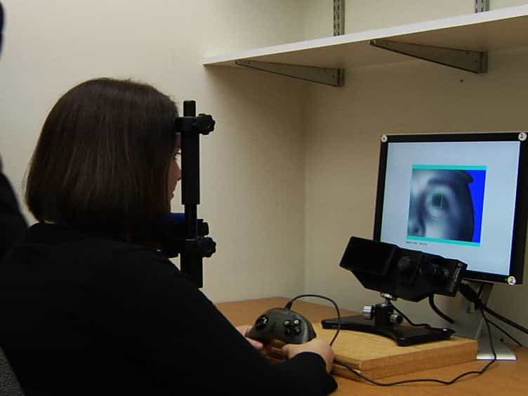 Using Eye Movements to Evaluate the Cognitive Processes Involved in Text Comprehension