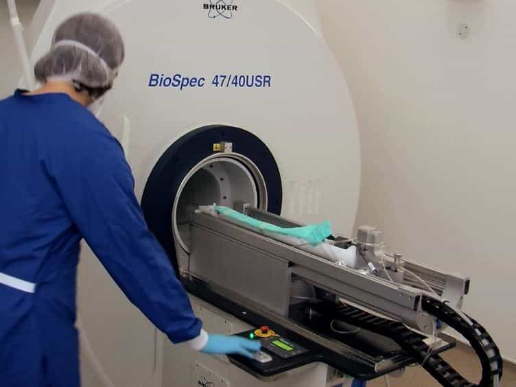MRI and PET in Mouse Models of Myocardial Infarction