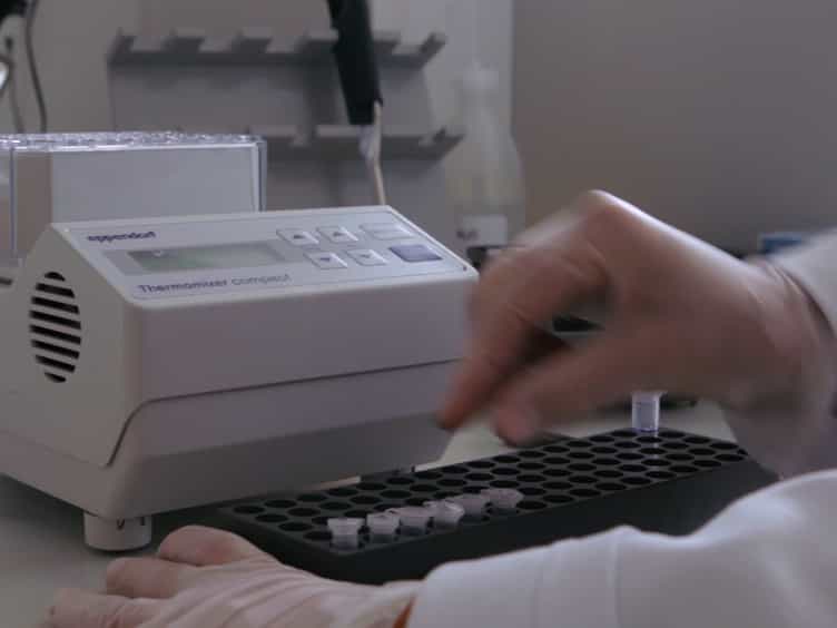 FtsZ Polymerization Assays: Simple Protocols and Considerations