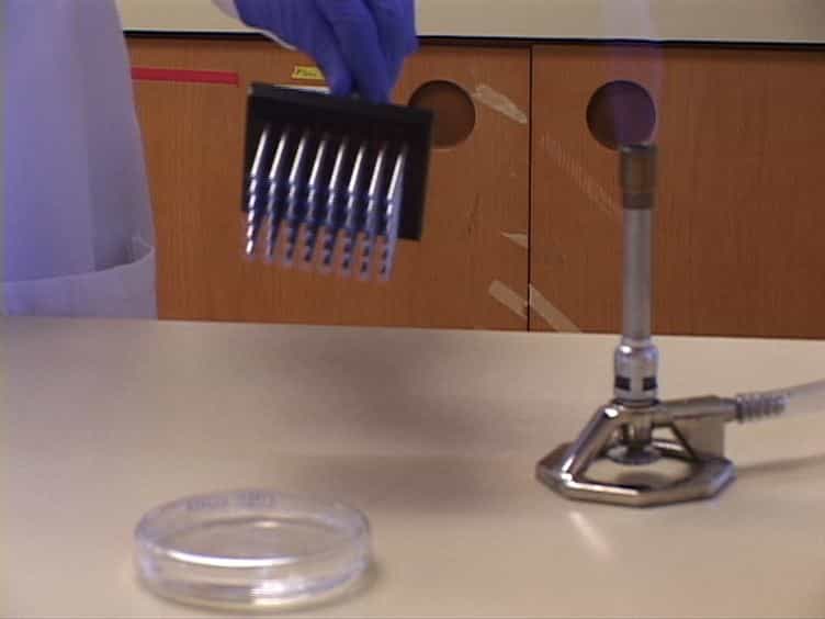 Establishing the Minimal Bactericidal Concentration of an Antimicrobial Agent for Planktonic Cells MBC-P and Biofilm Cells MBC-B