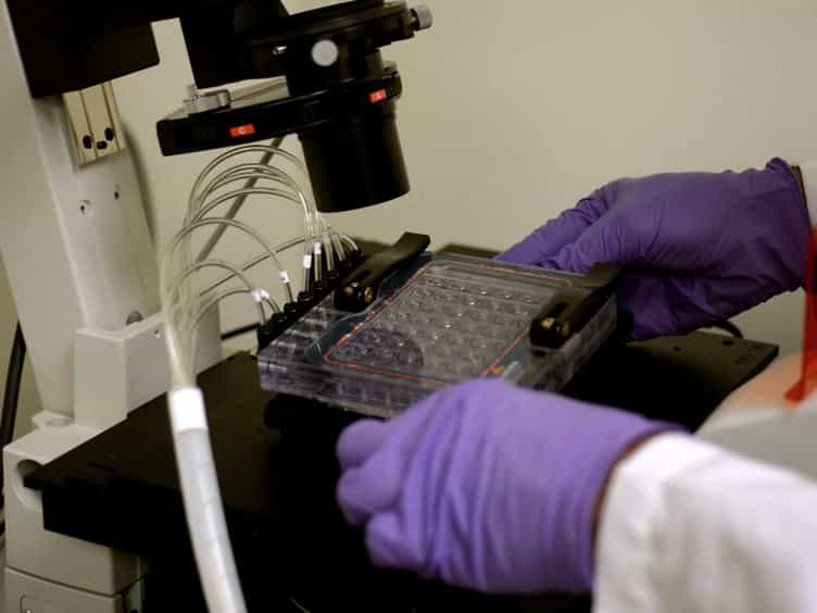 Systematic Analysis of In Vitro Cell Rolling Using a Multi-well Plate Microfluidic System