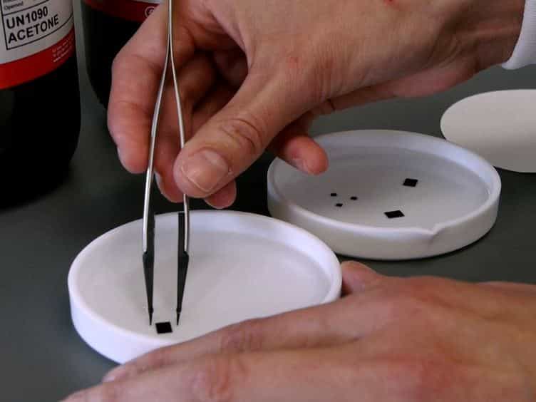 In situ TEM of Biological Assemblies in Liquid