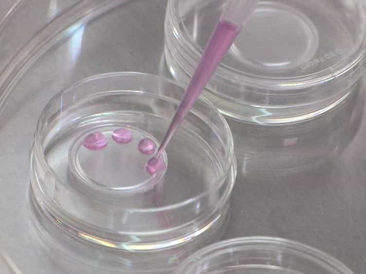 A Novel Three-dimensional Flow Chamber Device to Study Chemokine-directed Extravasation of Cells Circulating under Physiological Flow Conditions