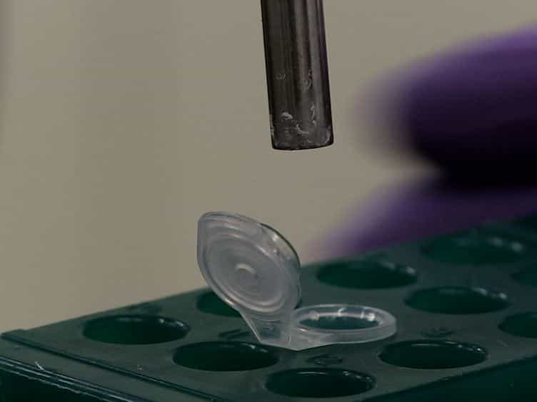 Characteristics of Precipitation-formed Polyethylene Glycol Microgels Are Controlled by Molecular Weight of Reactants