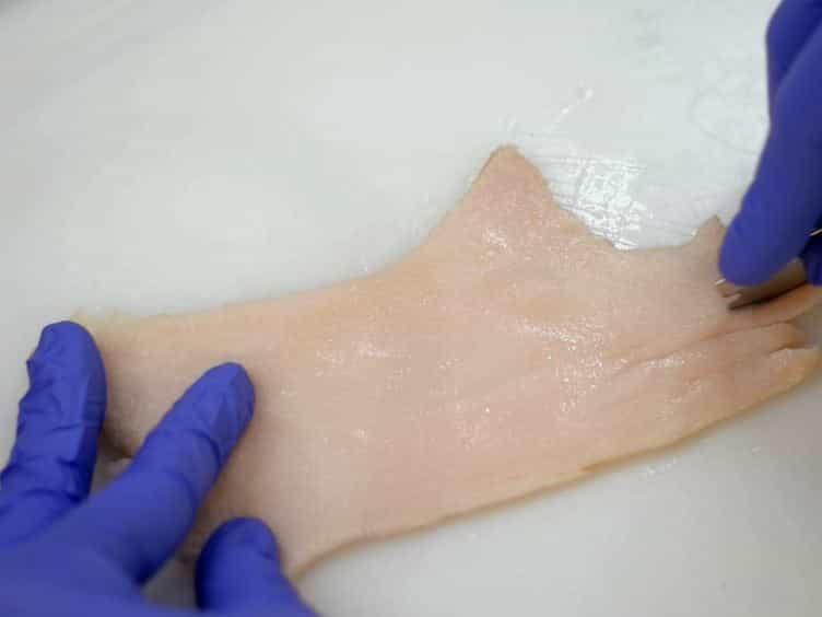 An Improved Method for the Preparation of Type I Collagen From Skin