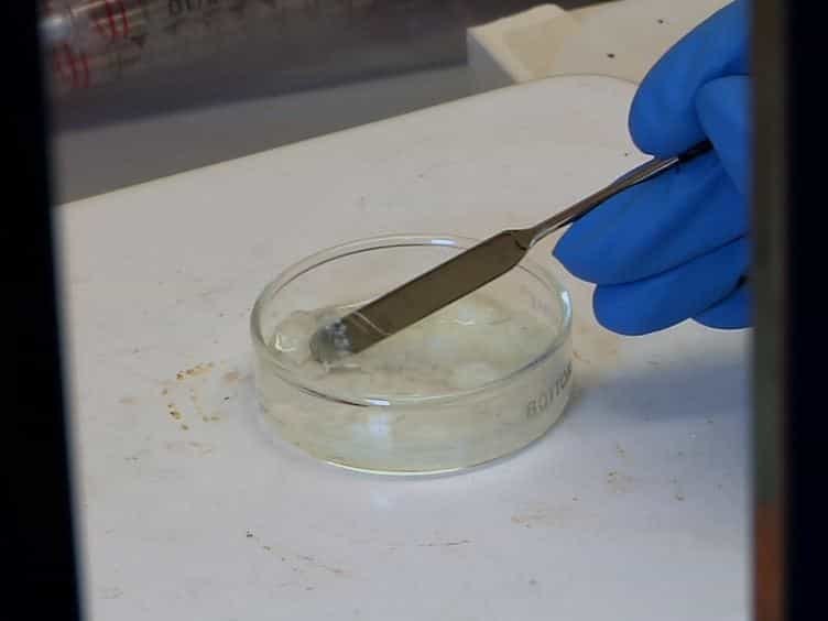 Tissue Engineering: Construction of a Multicellular 3D Scaffold for the Delivery of Layered Cell Sheets