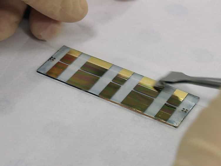 Sensing of Barrier Tissue Disruption with an Organic Electrochemical Transistor