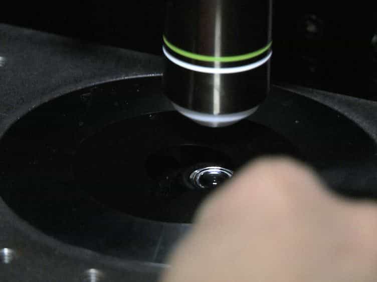 Highly Resolved Intravital Striped-illumination Microscopy of Germinal Centers