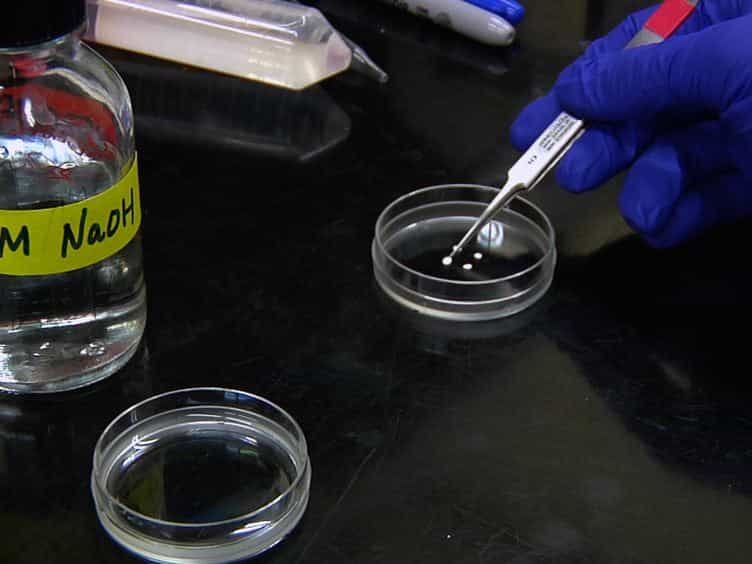An Alkali-burn Injury Model of Corneal Neovascularization in the Mouse
