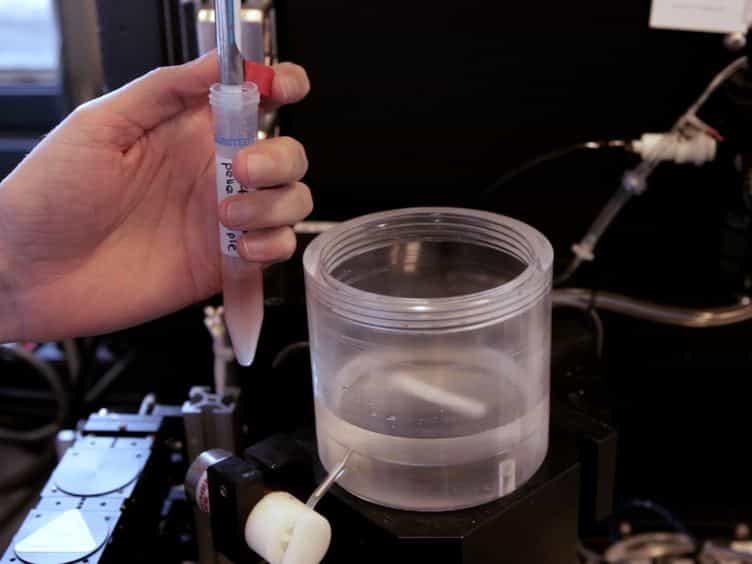 Sorting of Streptomyces Cell Pellets Using a Complex Object Parametric Analyzer and Sorter