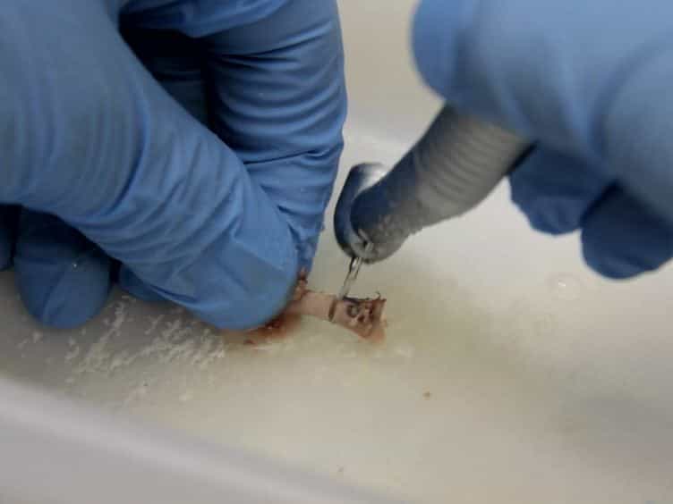 An Improved Mechanical Testing Method to Assess Bone-implant Anchorage