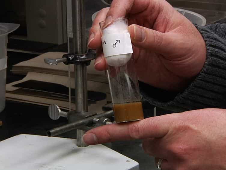 An Improved Method for Accurate and Rapid Measurement of Flight Performance in Drosophila