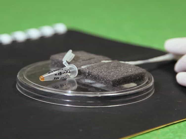 Laser Nanosurgery of Cerebellar Axons In Vivo