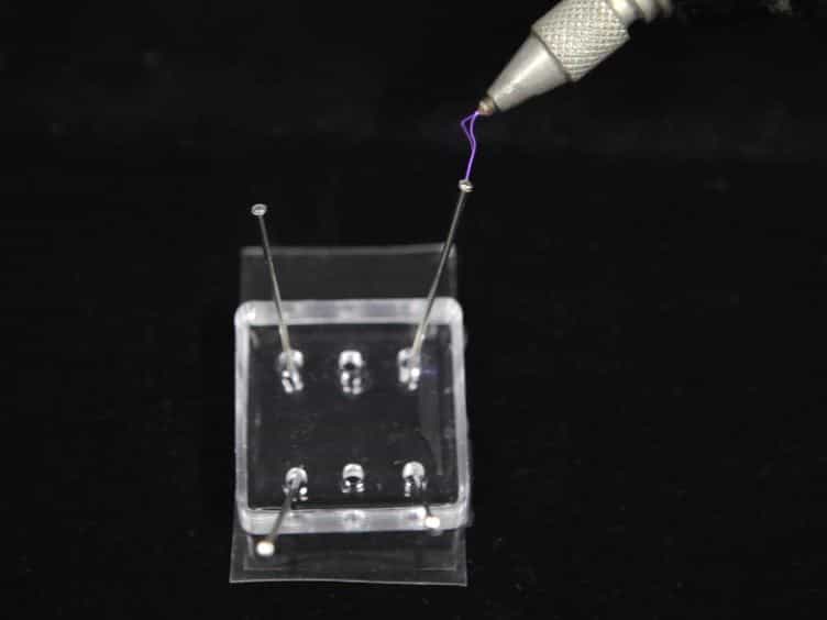 Preparation of Neuronal Co-cultures with Single Cell Precision