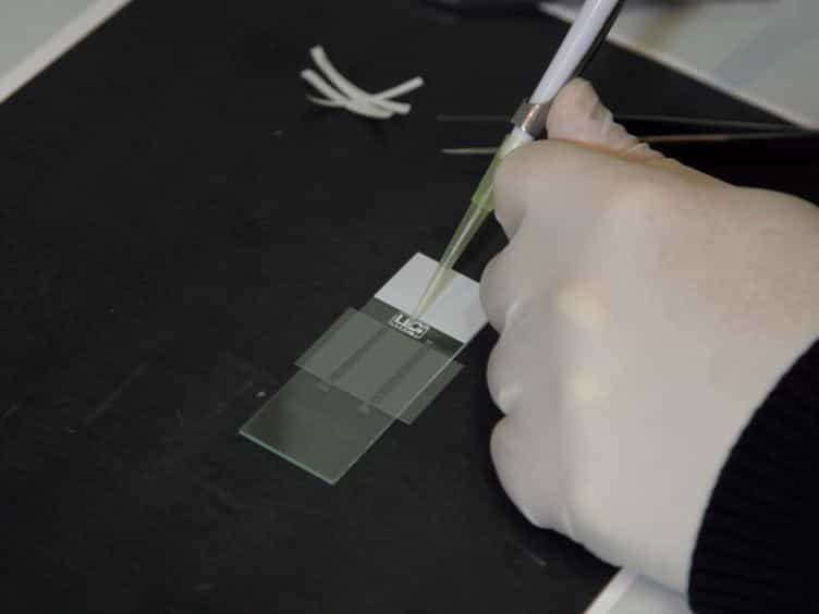 Combining Single-molecule Manipulation and Imaging for the Study of Protein-DNA Interactions