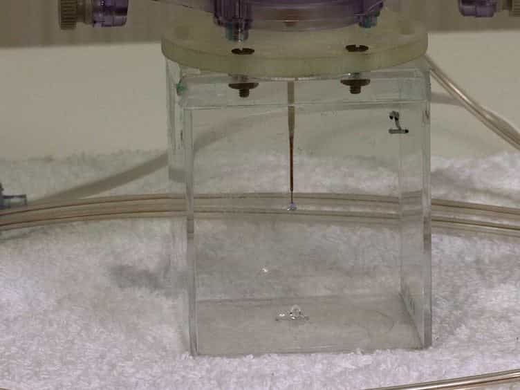 Image-guided Convection-enhanced Delivery into Agarose Gel Models of the Brain