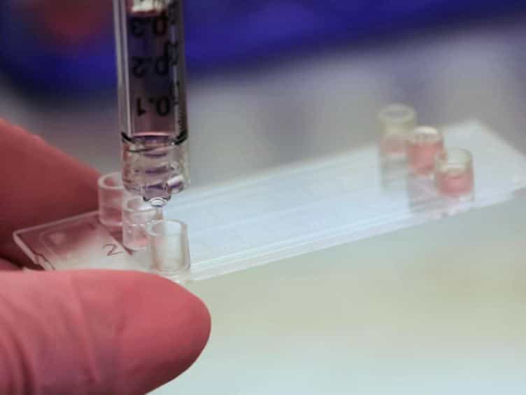 In vitro Method to Observe E-selectin-mediated Interactions Between Prostate Circulating Tumor Cells Derived From Patients and Human Endothelial Cells