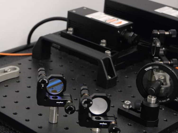In vivo Optogenetic Stimulation of the Rodent Central Nervous System