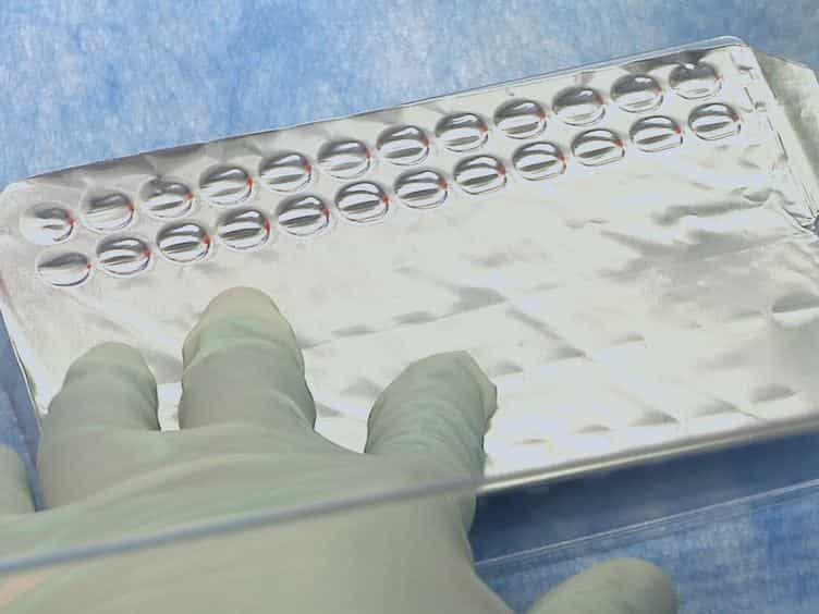 A Restriction Enzyme Based Cloning Method to Assess the In vitro Replication Capacity of HIV-1 Subtype C Gag-MJ4 Chimeric Viruses