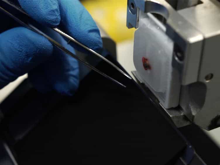 qPCR Is a Sensitive and Rapid Method for Detection of Cytomegaloviral DNA in Formalin-fixed, Paraffin-embedded Biopsy Tissue