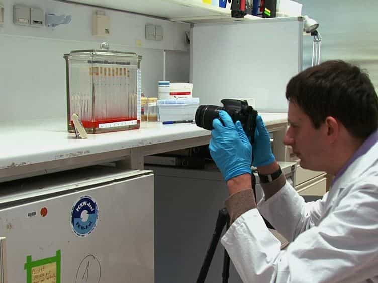 Measurement of Metabolic Rate in Drosophila using Respirometry