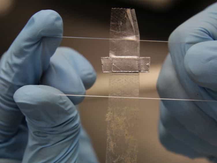 Development of a 3D Graphene Electrode Dielectrophoretic Device
