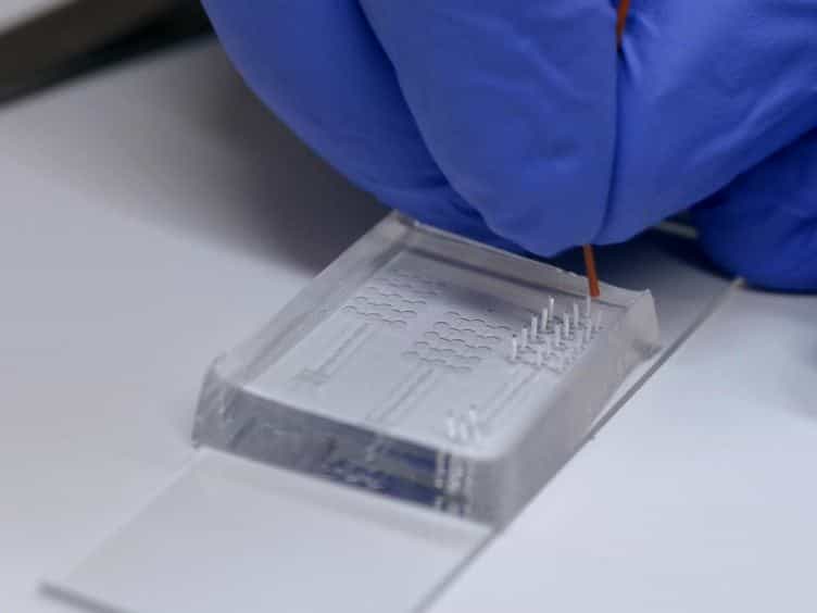 Microscale Vortex-assisted Electroporator for Sequential Molecular Delivery