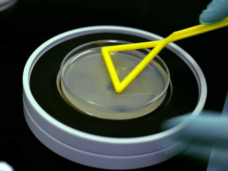 Massively Parallel Reporter Assays in Cultured Mammalian Cells