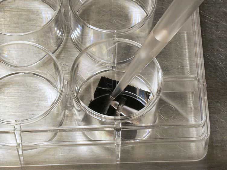 Utilization of Microscale Silicon Cantilevers to Assess Cellular Contractile Function In Vitro