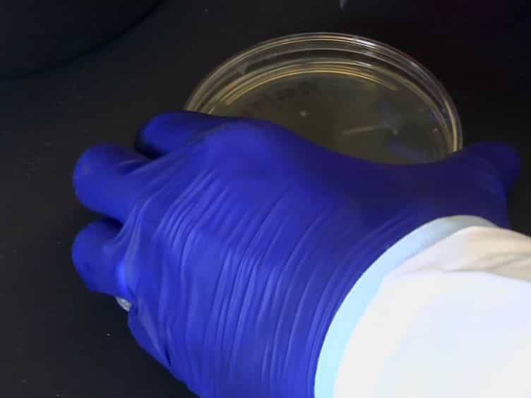 Probing High-density Functional Protein Microarrays to Detect Protein-protein Interactions