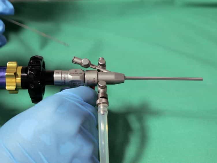 Murine Endoscopy for In Vivo Multimodal Imaging of Carcinogenesis and Assessment of Intestinal Wound Healing and Inflammation