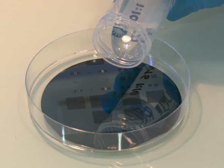 Ordering Single Cells and Single Embryos in 3D Confinement: A New Device for High Content Screening