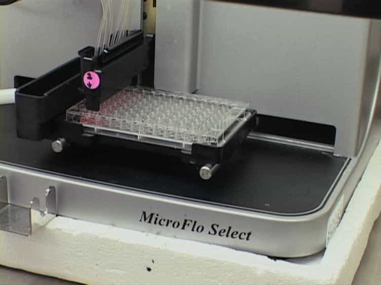 High-throughput Titration of Luciferase-expressing Recombinant Viruses