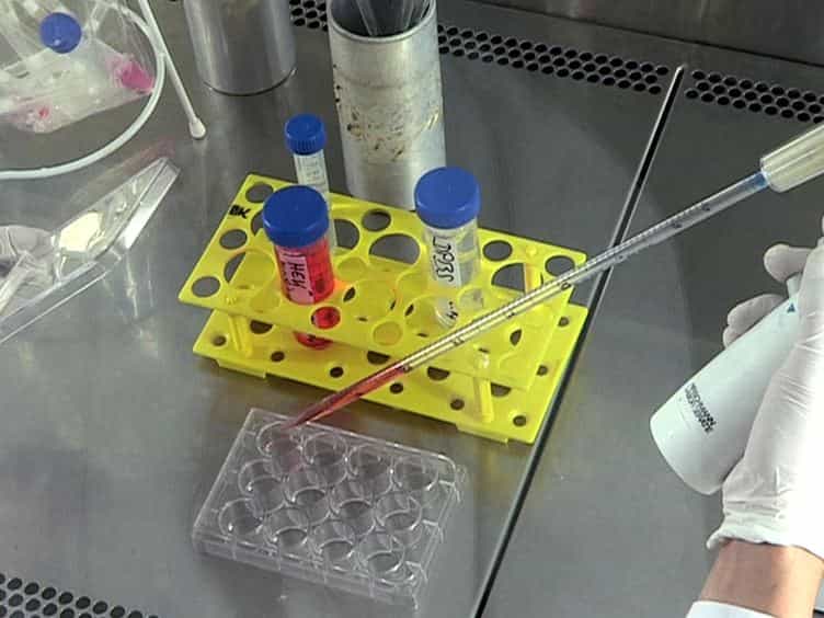 In Vitro Synthesis of Modified mRNA for Induction of Protein Expression in Human Cells