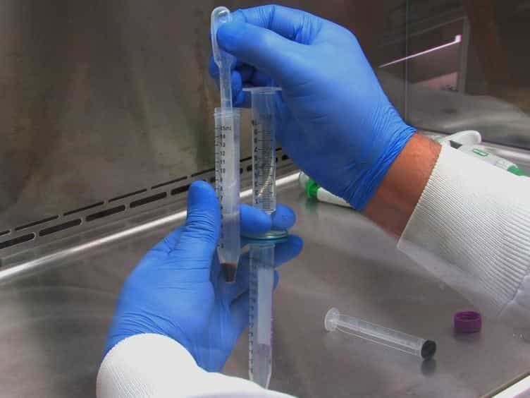 Propagation of Homalodisca coagulata virus-01 via Homalodisca vitripennis Cell Culture