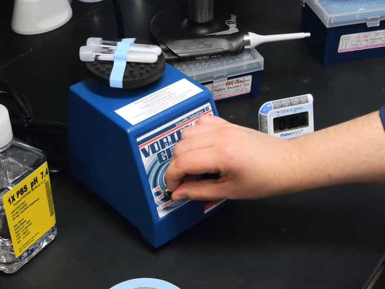 Measuring Local Anaphylaxis in Mice
