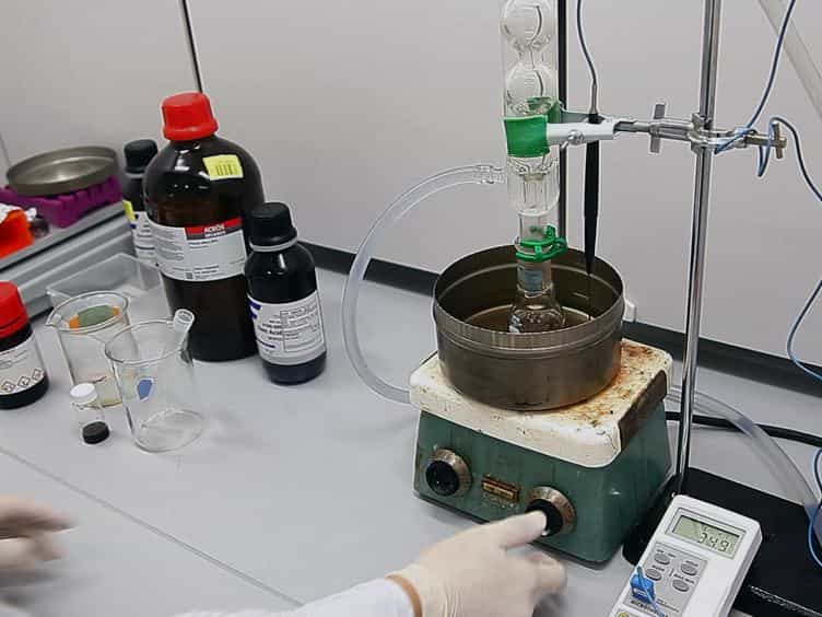 Synthesis of Immunotargeted Magneto-plasmonic Nanoclusters