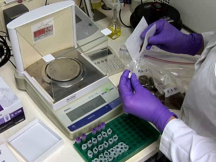 A Hybrid DNA Extraction Method for the Qualitative and Quantitative Assessment of Bacterial Communities from Poultry Production Samples