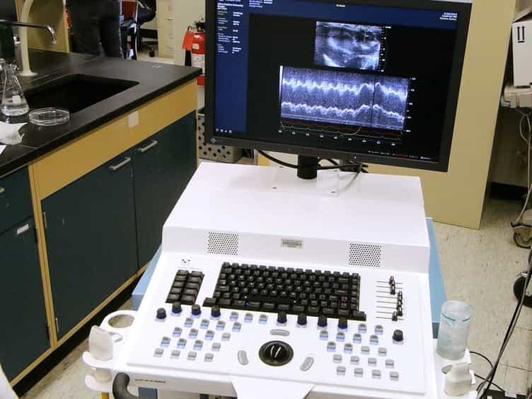 Measuring Ascending Aortic Stiffness In Vivo in Mice Using Ultrasound