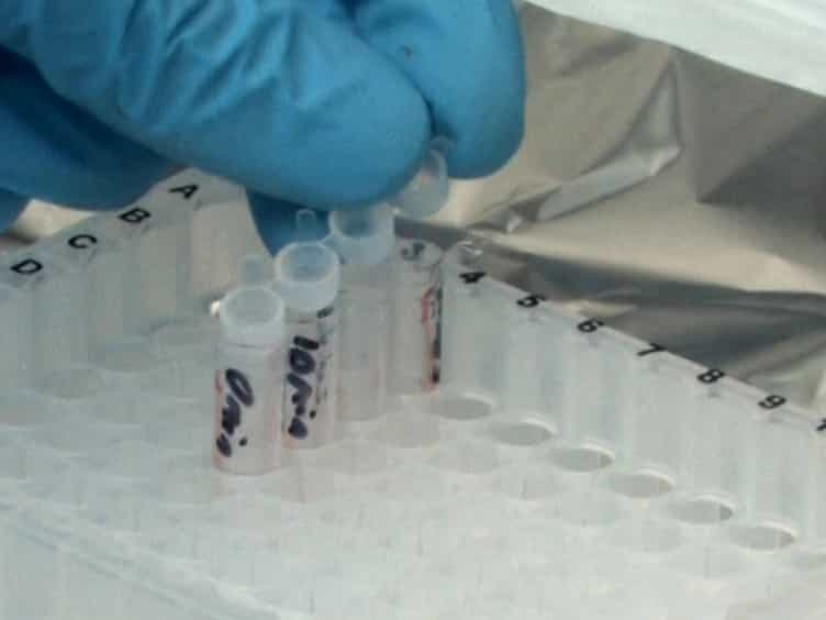 Image-based Flow Cytometry Technique to Evaluate Changes in Granulocyte Function In Vitro
