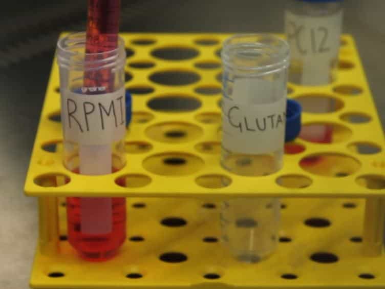 Method for the Assessment of Effects of a Range of Wavelengths and Intensities of Red/near-infrared Light Therapy on Oxidative Stress In Vitro