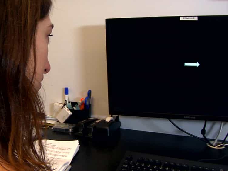 A Cognitive Paradigm to Investigate Interference in Working Memory by Distractions and Interruptions