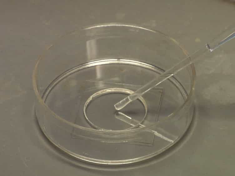 Polyacrylamide Gels for Invadopodia and Traction Force Assays on Cancer Cells