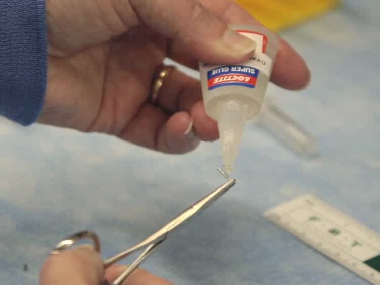 A Simple Critical-sized Femoral Defect Model in Mice