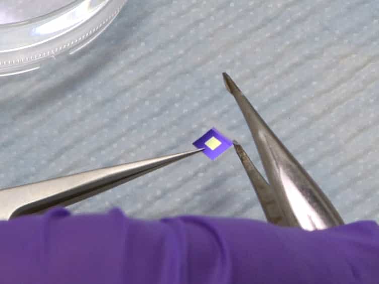 Preparing Adherent Cells for X-ray Fluorescence Imaging by Chemical Fixation