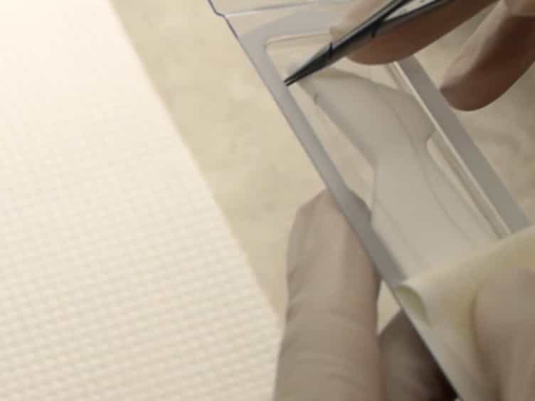 A Surgical Procedure for Resecting the Mouse Rib: A Model for Large-Scale Long Bone Repair